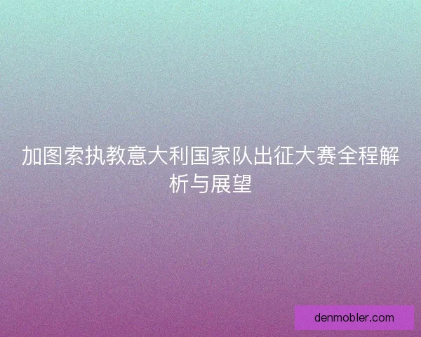 加图索执教意大利国家队出征大赛全程解析与展望 加图索执教意大利国家队出征大赛全程解析与展望